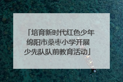 培育新时代红色少年 绵阳市桑枣小学开展少先队队前教育活动