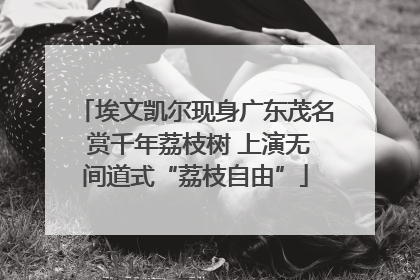 埃文凯尔现身广东茂名 赏千年荔枝树 上演无间道式“荔枝自由”
