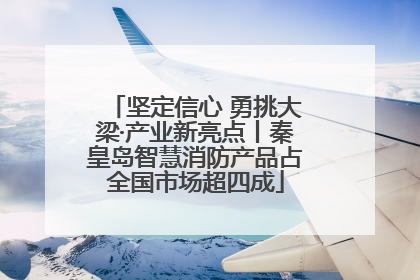 坚定信心 勇挑大梁·产业新亮点丨秦皇岛智慧消防产品占全国市场超四成