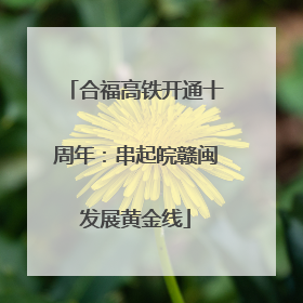 合福高铁开通十周年：串起皖赣闽发展黄金线