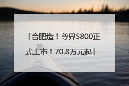 合肥造！尊界S800正式上市！70.8万元起
