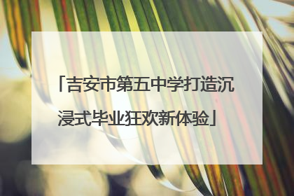 吉安市第五中学打造沉浸式毕业狂欢新体验