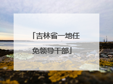 吉林省一地任免领导干部
