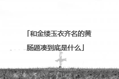 和金缕玉衣齐名的黄肠题凑到底是什么