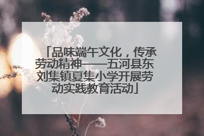 品味端午文化，传承劳动精神——五河县东刘集镇夏集小学开展劳动实践教育活动