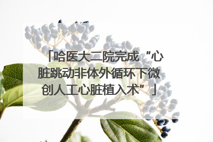 哈医大二院完成“心脏跳动非体外循环下微创人工心脏植入术”
