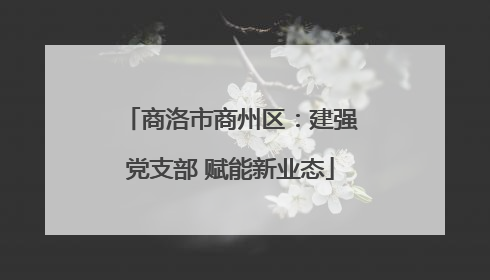 商洛市商州区：建强党支部 赋能新业态