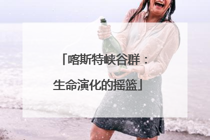 喀斯特峡谷群：生命演化的摇篮