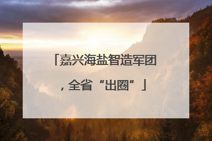 嘉兴海盐智造军团，全省“出圈”