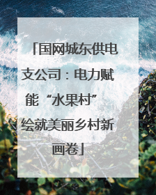 国网城东供电支公司：电力赋能“水果村” 绘就美丽乡村新画卷