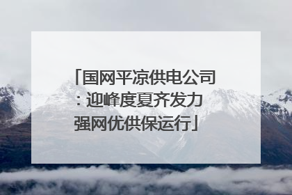 国网平凉供电公司：迎峰度夏齐发力 强网优供保运行