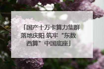 国产十万卡算力集群落地庆阳 筑牢“东数西算”中国底座