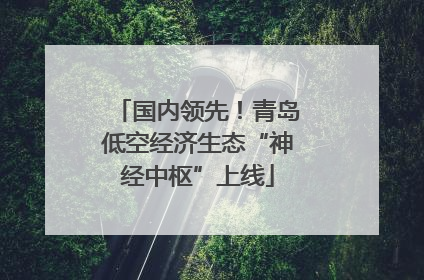 国内领先！青岛低空经济生态“神经中枢”上线