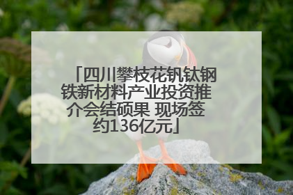 四川攀枝花钒钛钢铁新材料产业投资推介会结硕果 现场签约136亿元