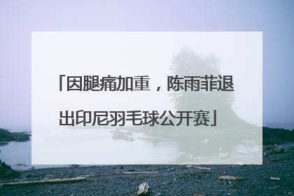 因腿痛加重，陈雨菲退出印尼羽毛球公开赛