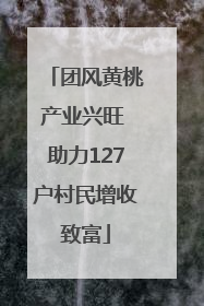 团风黄桃产业兴旺 助力127户村民增收致富