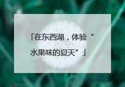 在东西湖，体验“水果味的夏天”