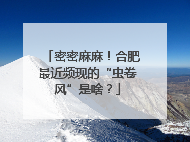 密密麻麻！合肥最近频现的“虫卷风”是啥？