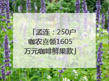 孟连：250户咖农喜领1605万元咖啡鲜果款