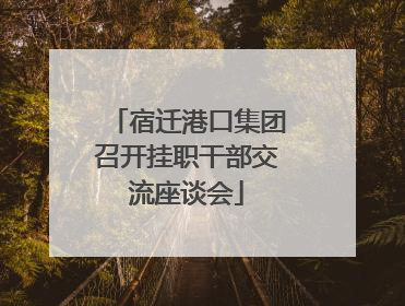 宿迁港口集团召开挂职干部交流座谈会