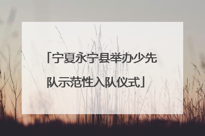 宁夏永宁县举办少先队示范性入队仪式