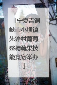 宁夏青铜峡市小坝镇先锋村葡萄整穗疏果技能竞赛举办