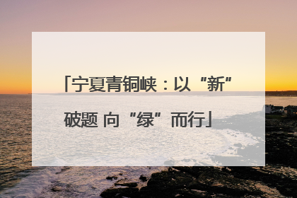宁夏青铜峡：以“新”破题 向“绿”而行