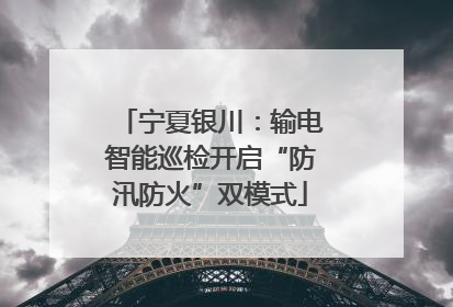 宁夏银川：输电智能巡检开启“防汛防火”双模式