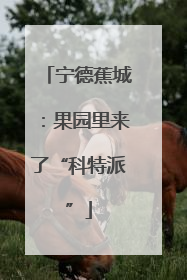 宁德蕉城：果园里来了“科特派”