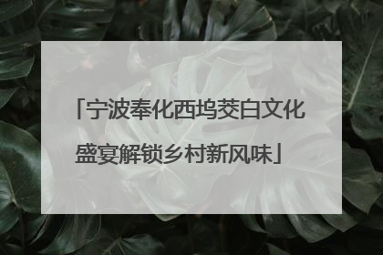 宁波奉化西坞茭白文化盛宴解锁乡村新风味