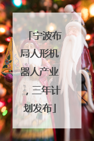 宁波布局人形机器人产业，三年计划发布