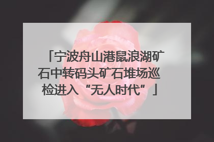 宁波舟山港鼠浪湖矿石中转码头矿石堆场巡检进入“无人时代”