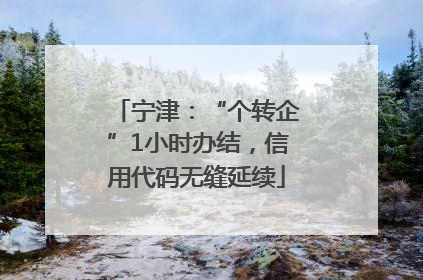 宁津：“个转企”1小时办结，信用代码无缝延续