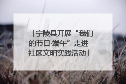 宁陵县开展“我们的节日·端午”走进社区文明实践活动