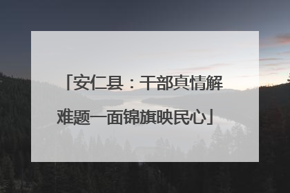 安仁县：干部真情解难题一面锦旗映民心