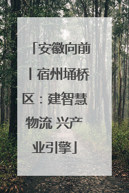安徽向前丨宿州埇桥区：建智慧物流 兴产业引擎