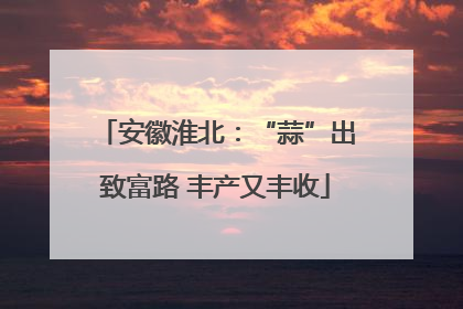 安徽淮北：“蒜”出致富路 丰产又丰收