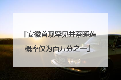 安徽首现罕见并蒂睡莲 概率仅为百万分之一