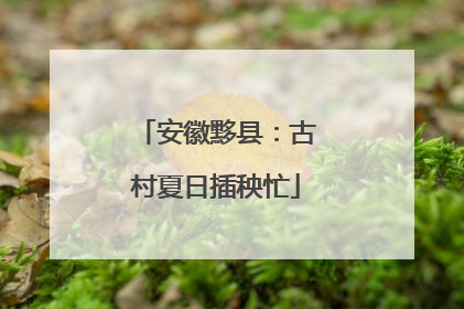 安徽黟县：古村夏日插秧忙