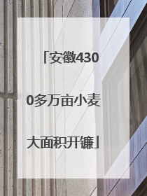 安徽4300多万亩小麦大面积开镰