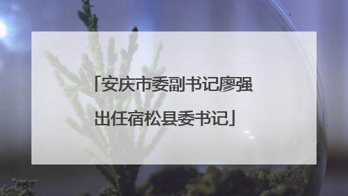 安庆市委副书记廖强出任宿松县委书记