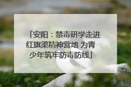 安阳：禁毒研学走进红旗渠精神营地 为青少年筑牢防毒防线