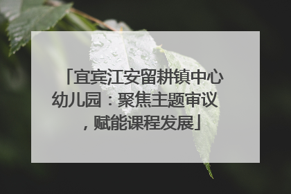 宜宾江安留耕镇中心幼儿园：聚焦主题审议，赋能课程发展