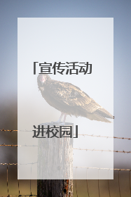宣传活动进校园