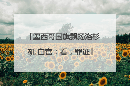 墨西哥国旗飘扬洛杉矶 白宫：看，罪证