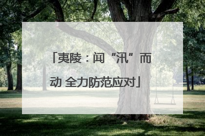 夷陵：闻“汛”而动 全力防范应对
