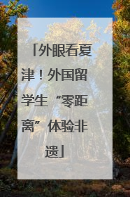 外眼看夏津！外国留学生“零距离”体验非遗
