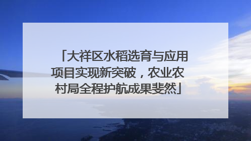 大祥区水稻选育与应用项目实现新突破，农业农村局全程护航成果斐然