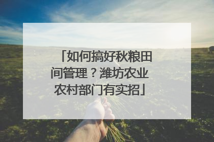 如何搞好秋粮田间管理？潍坊农业农村部门有实招