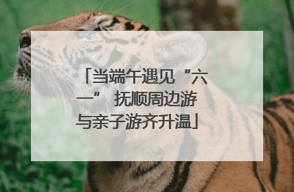 当端午遇见“六一” 抚顺周边游与亲子游齐升温